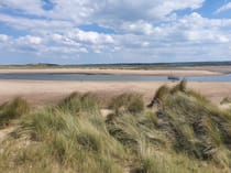 Explore Scolt Head Island National Nature Reserve