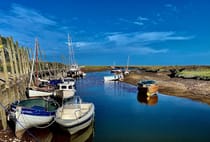 Explore the Wildlife at Blakeney National Nature Reserve