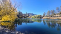 Relax by Fern's Lake