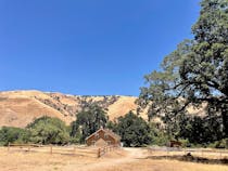 Explore Fort Tejon State Historic Park