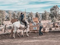 Experience Southern California Horseback Trail Rides