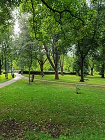 Explore Bute Park