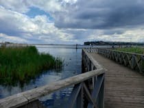 Explore Cardiff Bay Wetlands Reserve