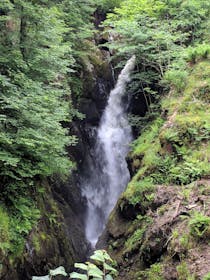 Explore Aira Force Waterfall