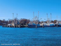 Explore Mitchell Park & Marina