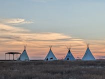 Explore the Prairie at Plains Conservation Center