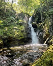 Explore Dolgoch Falls