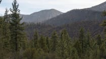 Hike to Cougar Crest Trailhead