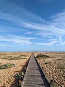 Explore Dungeness National Nature Reserve