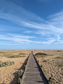 Explore Dungeness National Nature Reserve