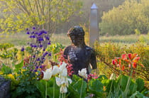 Explore Dyffryn Fernant Garden