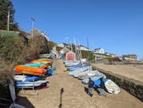 Spot Dolphins and Explore Cardigan Bay Marine Wildlife Centre