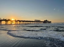 Explore the Tranquil Beauty of Folly Beach