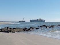 Explore the Historical Charm of Sullivan's Island