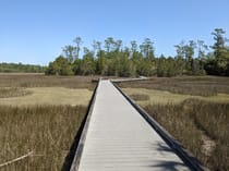 Explore Palmetto Islands County Park