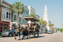 Explore Charleston's History on a Horse-Drawn Carriage Tour