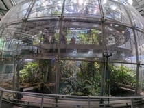 Explore the California Academy of Sciences