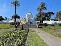 Explore Golden Gate Park