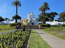 Explore Golden Gate Park