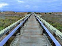 Explore Stevens Creek Shoreline Nature Study Area Preserve