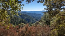 Explore Castle Rock State Park