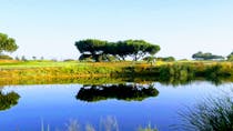 Play a Round at Shoreline Golf Links