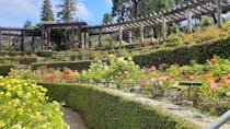 Explore Berkeley Rose Garden
