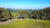 Explore the Beauty of Tilden Regional Park