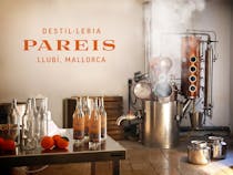Experience Gin Mallorca Destileria Pareis