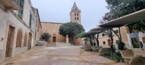 Explore the Historic Pla de Mallorca District