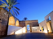 Explore Es Baluard Museum and its Breathtaking Views