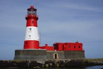 Explore the Farne Islands