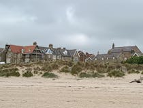 Explore Alnmouth Beach