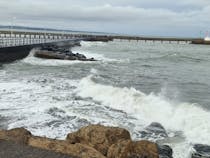 Explore Amble Harbour