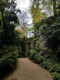 Explore Belsay Hall Quarry Garden