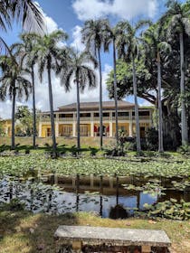 Explore the Historic Bonnet House Museum & Gardens