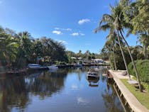 Explore the Natural Beauty of Tarpon River