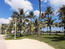 Relax at Lummus Park