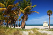 Explore Crandon Park's Beautiful Beach and Wildlife