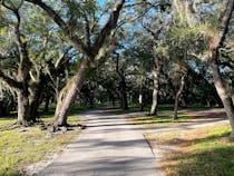 Explore Matheson Hammock Park & Marina