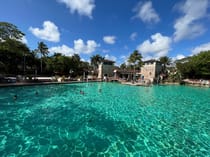 Experience the Enchanting Venetian Pool