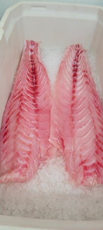 Savour Fresh Seafood at Blue Runner Seafood
