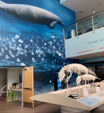 Explore Manatee Lagoon