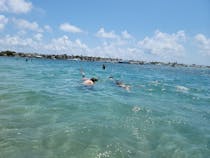 Explore the Underwater Snorkeling Trail at Phil Foster Park