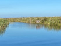 Explore the Wildlife at Loxahatchee National Refuge