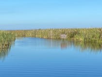 Explore the Wildlife at Loxahatchee National Refuge