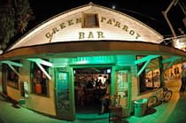 Experience live music at the Green Parrot Bar