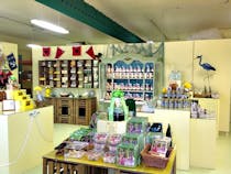 Indulge in Key Lime Delights at Kermit's Key West Key Lime Shoppe