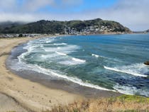 Explore Pacifica State Beach