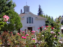 Explore Luther Burbank Home & Gardens